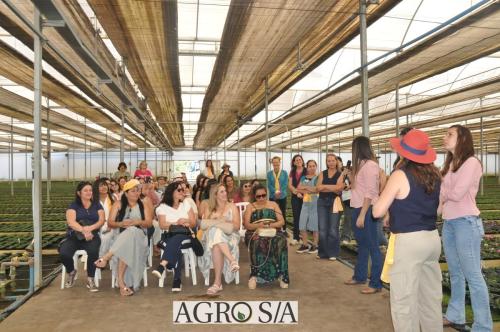 999sitio-marisa-28