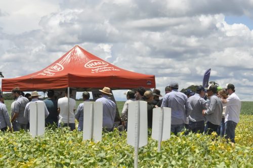 JERIQUARA-DEDEAGRO-137