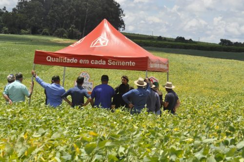 JERIQUARA-DEDEAGRO-139