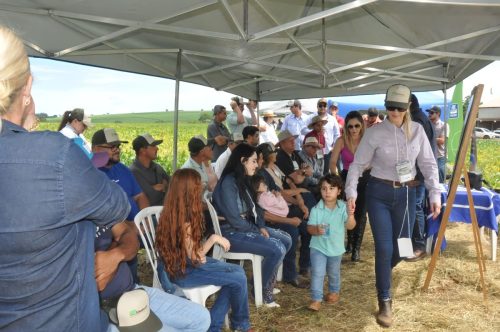 JERIQUARA-DEDEAGRO-206