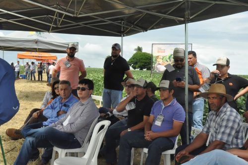 JERIQUARA-DEDEAGRO-207