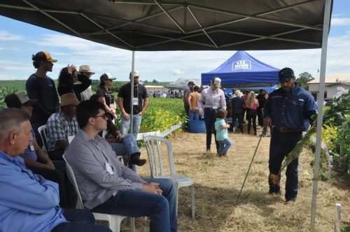 JERIQUARA-DEDEAGRO-210
