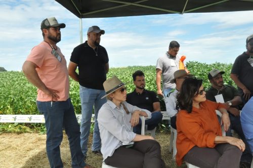 JERIQUARA-DEDEAGRO-213