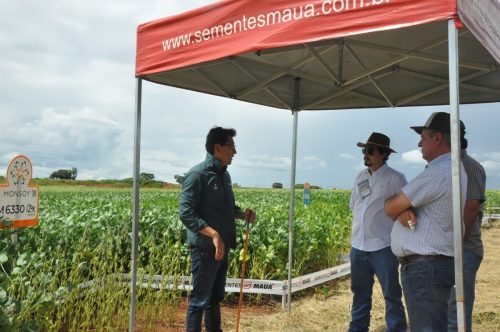JERIQUARA-DEDEAGRO-218