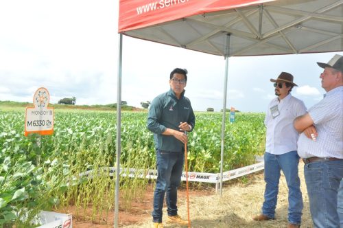 JERIQUARA-DEDEAGRO-219