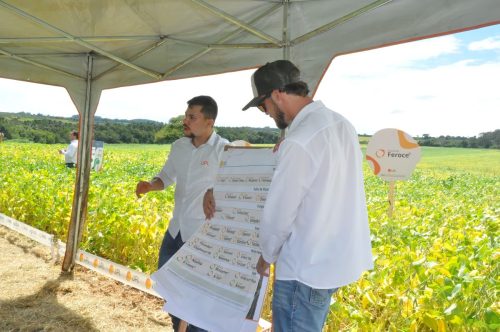 JERIQUARA-DEDEAGRO-242