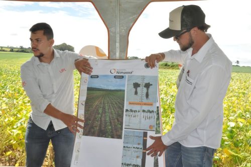 JERIQUARA-DEDEAGRO-244