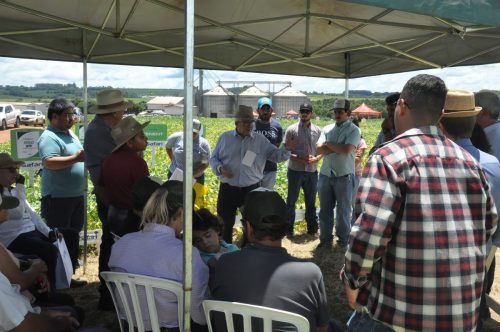 JERIQUARA-DEDEAGRO-272