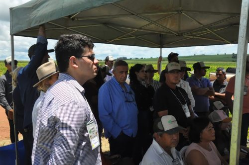 JERIQUARA-DEDEAGRO-273