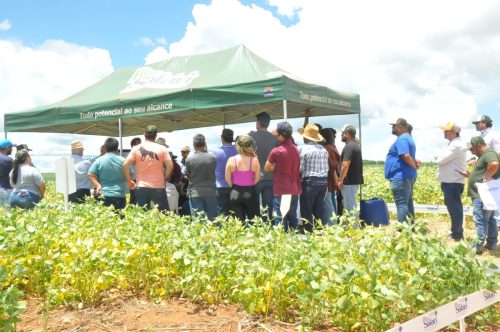 JERIQUARA-DEDEAGRO-275
