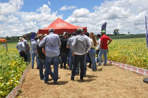 JERIQUARA-DEDEAGRO-280