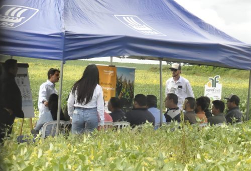 JERIQUARA-DEDEAGRO-3