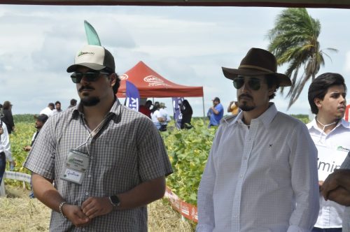 JERIQUARA-DEDEAGRO-78