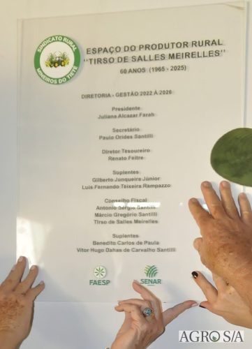 3-999-mineiros-65