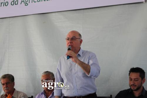 PATROCINIO  (105)