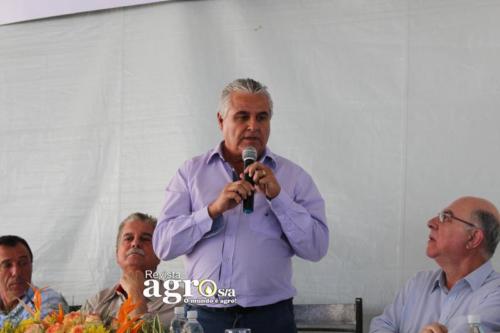 PATROCINIO  (113)