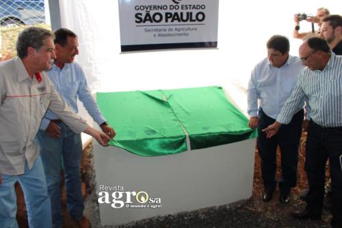 PATROCINIO  (126)