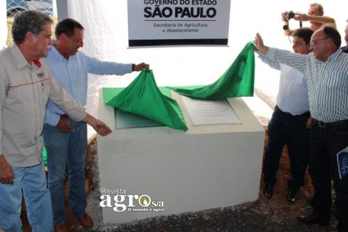 PATROCINIO  (127)