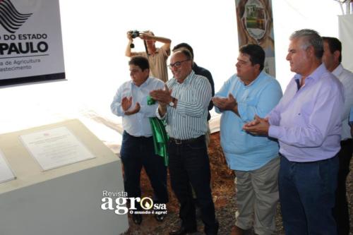 PATROCINIO  (133)