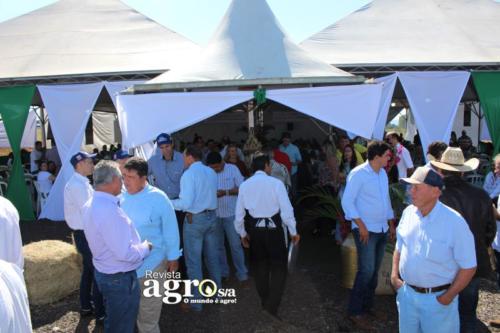 PATROCINIO  (31)