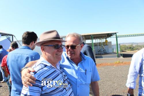PATROCINIO  (39)