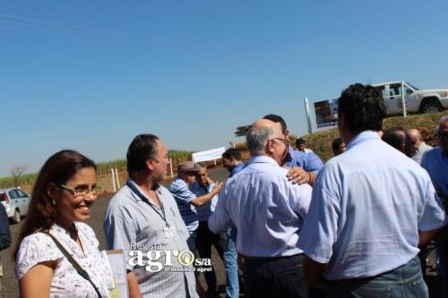 PATROCINIO  (48)