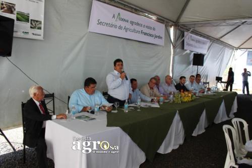 PATROCINIO  (79)