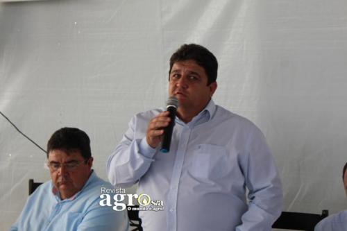 PATROCINIO  (82)