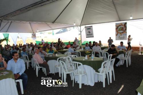 PATROCINIO  (92)