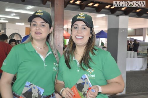 999-rio-claro-290