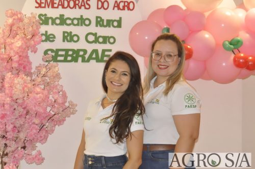 999RIOCLARO-183