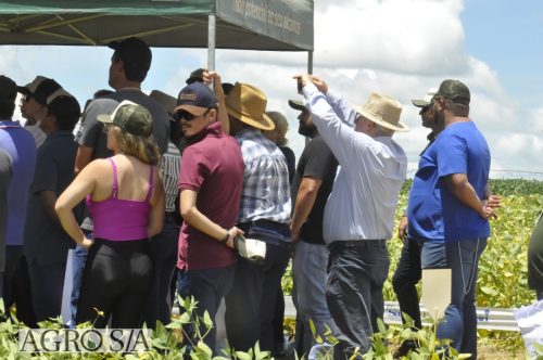 JERIQUARA-DEDEAGRO-134