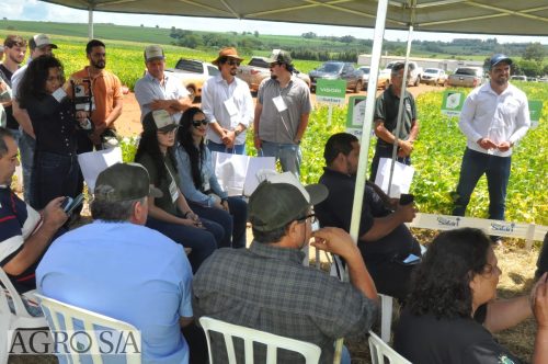 JERIQUARA-DEDEAGRO-265