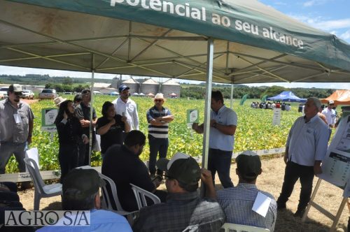 JERIQUARA-DEDEAGRO-268