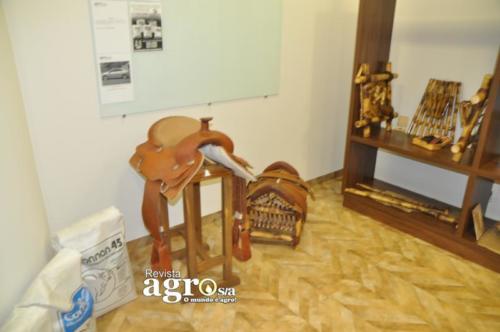 DSC 0855