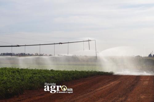 DSC06546