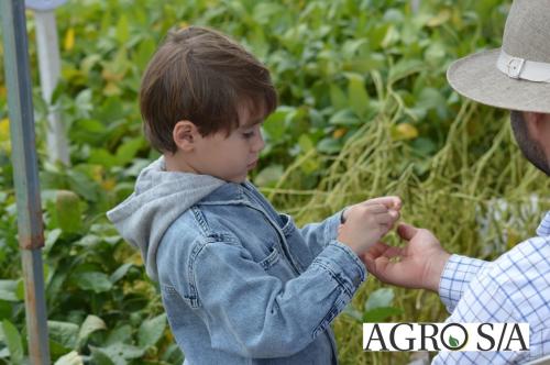 DEDEAGRO-11-02-116