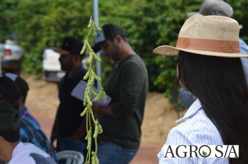 DEDEAGRO-11-02-117