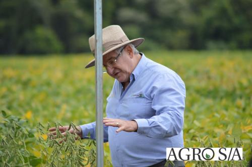 DEDEAGRO-11-02-131