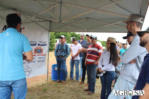DEDEAGRO-11-02-41