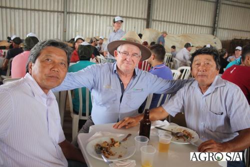 DEDEAGRO-11-02-80